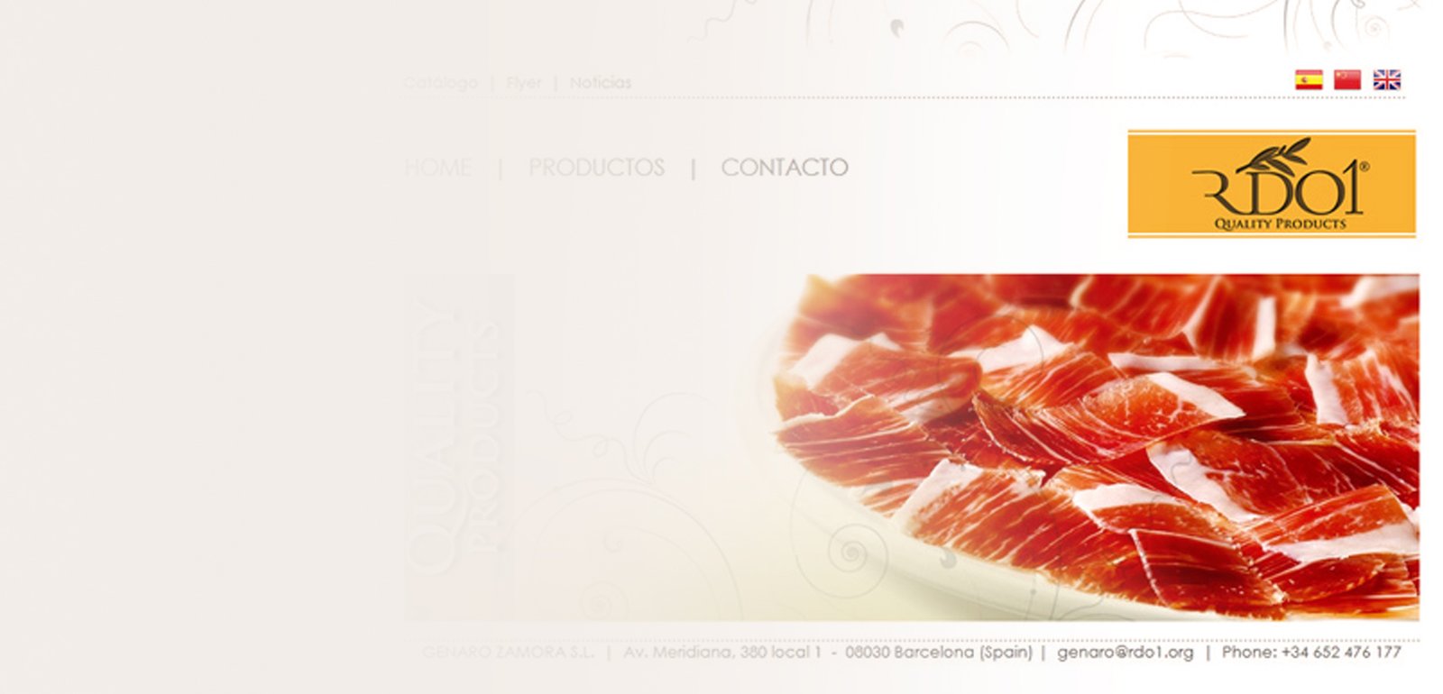Diseño de página web para RDO1