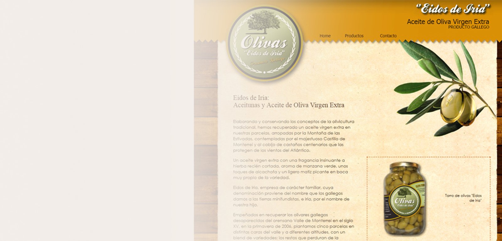 Diseño de página web para Eidos de Iria