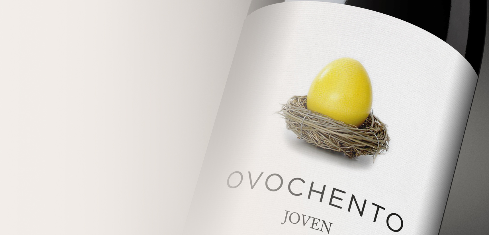 Packaging project for Ovochento
