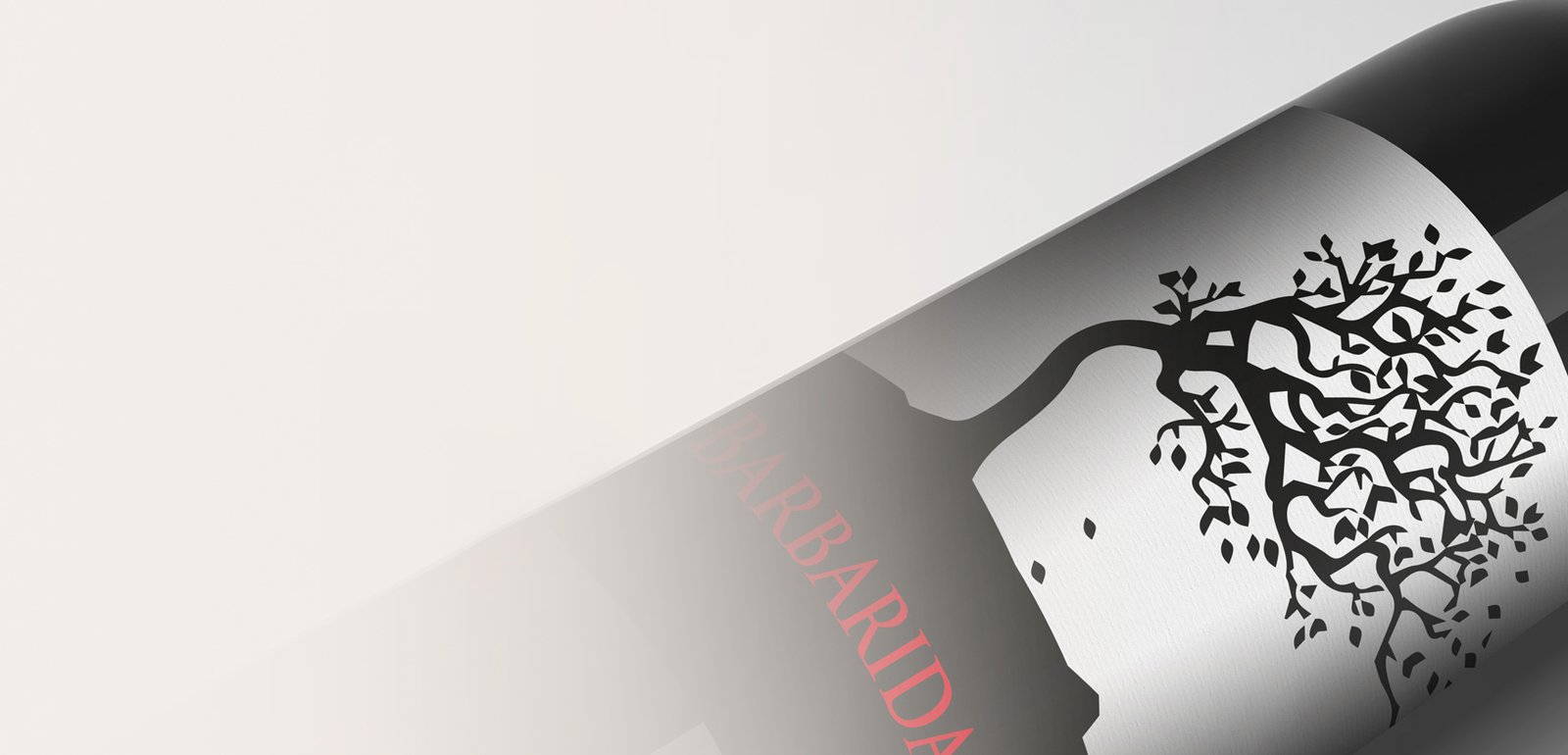 Diseño de etiquetas y packaging de vino para Barbaridad