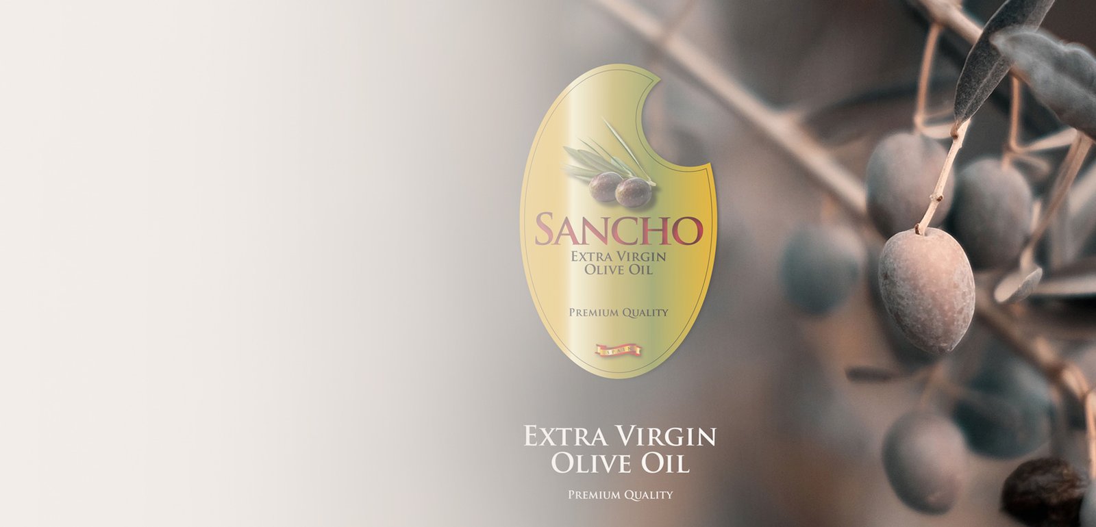 Packaging project for Sancho