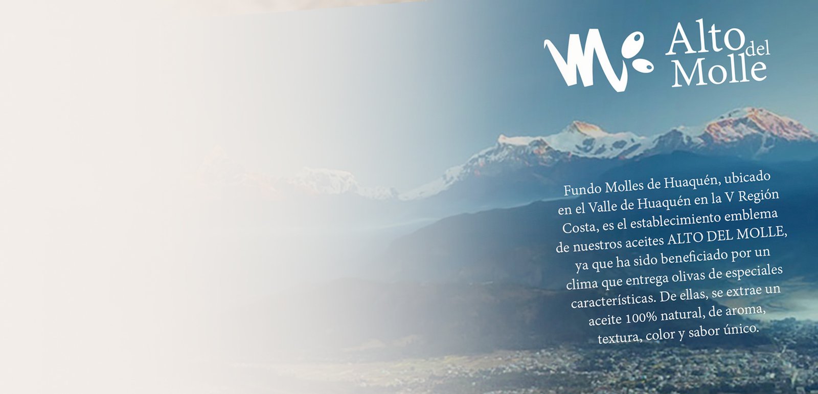 Packaging project for Alto Del Molle