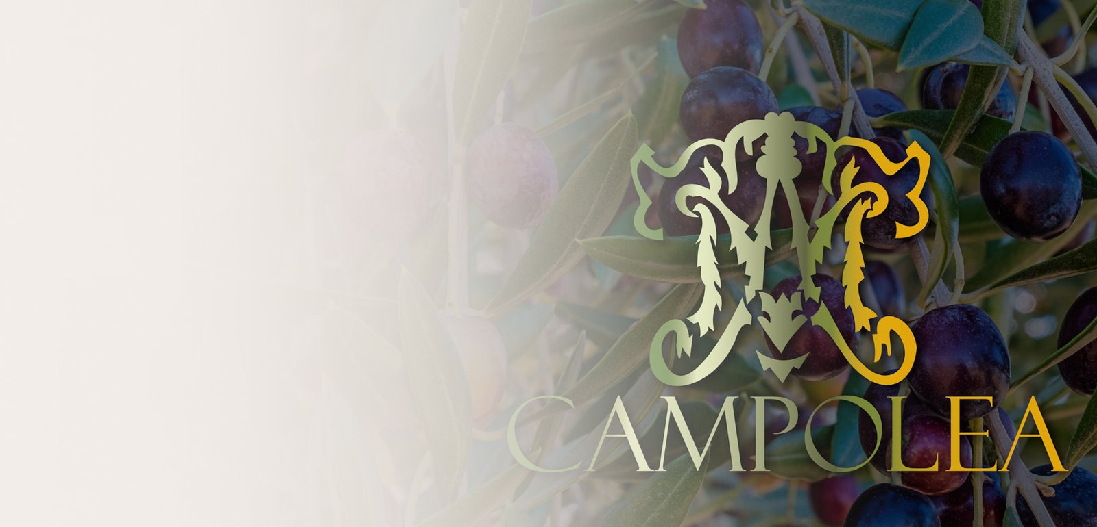 Diseño de etiquetas y packaging de aceite de oliva para Campolea Premium