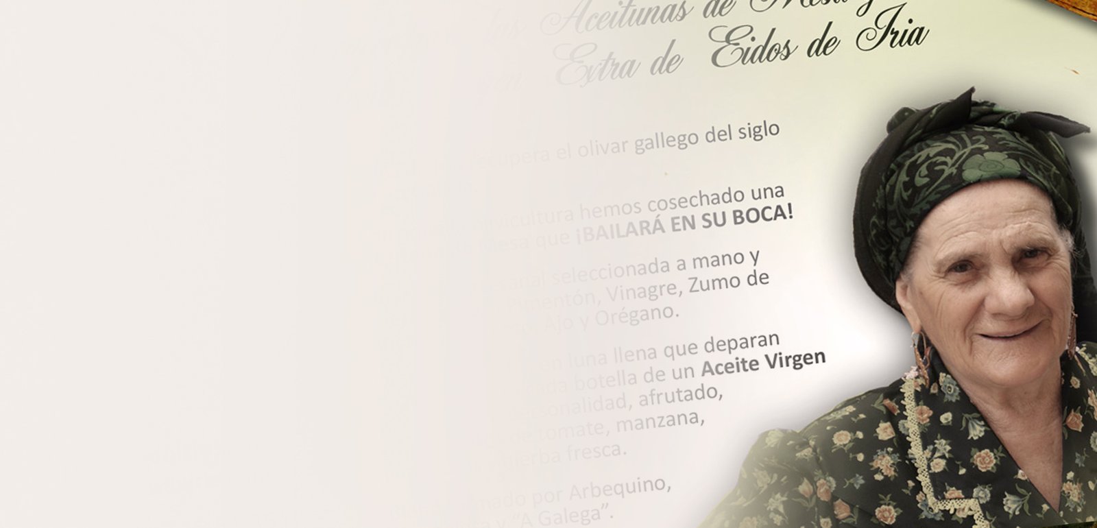 Diseño gráfico de flyers, folletos o anuncios para Eidos de Iria
