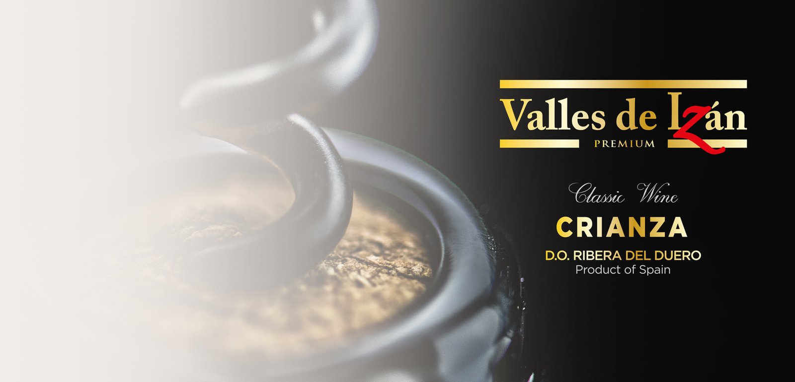 Visual identity design for Valle De Izan