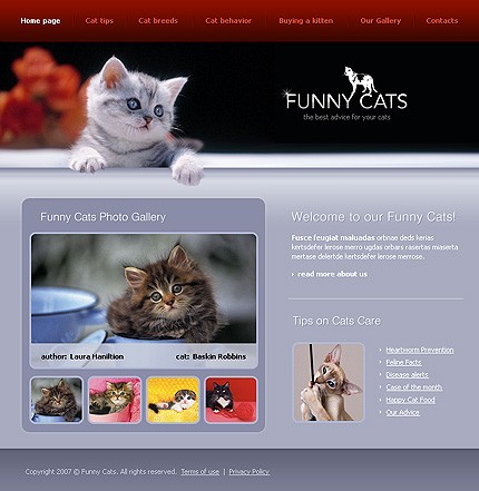 Ideas y ejemplos diseño web de animales y mascotas