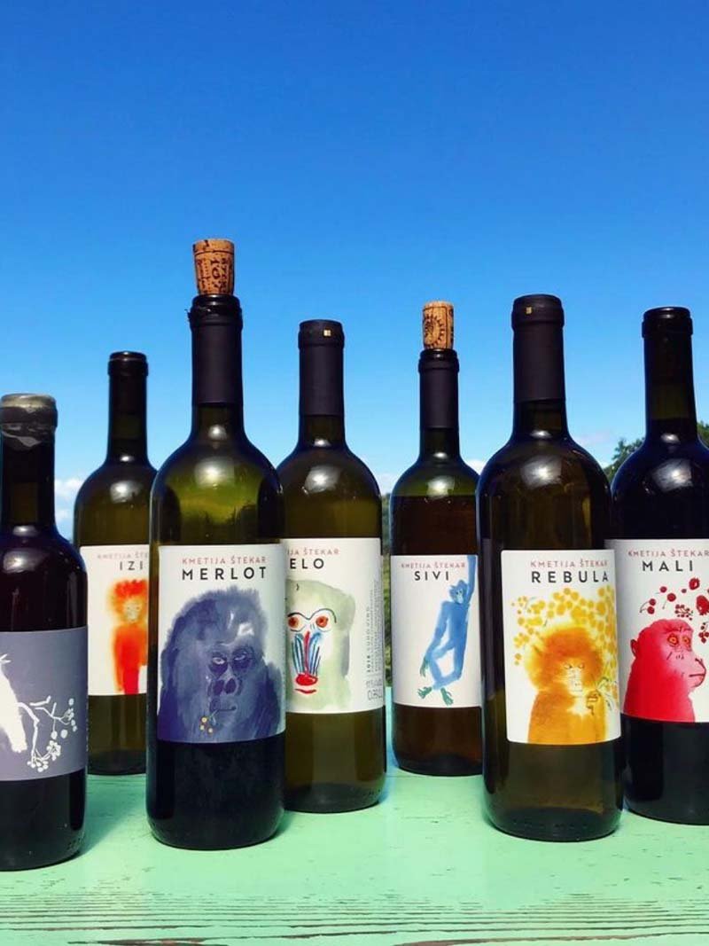 Ideas, ejemplos e inspiración para la creación y diseño de etiquetas de vino y botellas de vino. Packaging, botellas y diseños de etiquetas de vino modernas, para la inspiración.