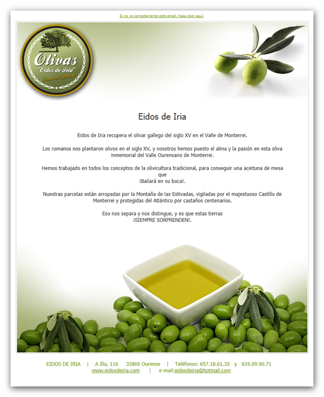 Portfolio of creative graphic design works of creation of newsletters and flyers for Galician extra virgin olive oil distributor