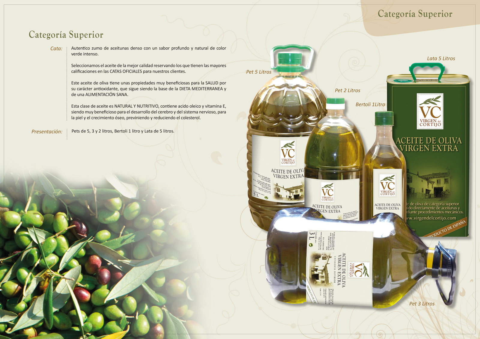 Diseño gráfico y creativo de maquetación de catálogos de productos para empresa fabricante comercializadora de aceite de liva virgen extra
