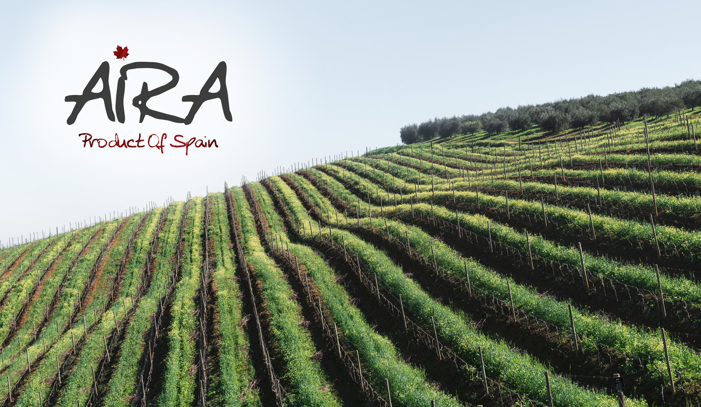 Diseño de etiqueta de vino AIRA para el mercado Chino