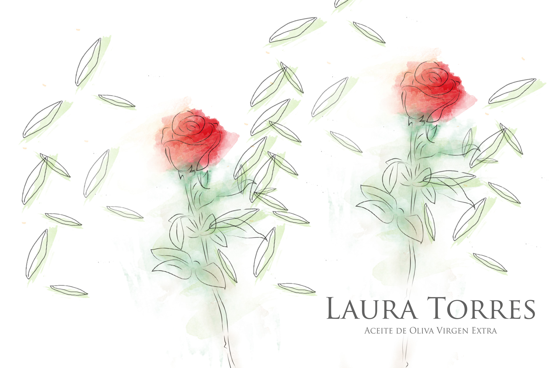 Diseño gráfico y creativo de etiquetas de aceite de oliva virgen extra para la marca LAURA TORRES