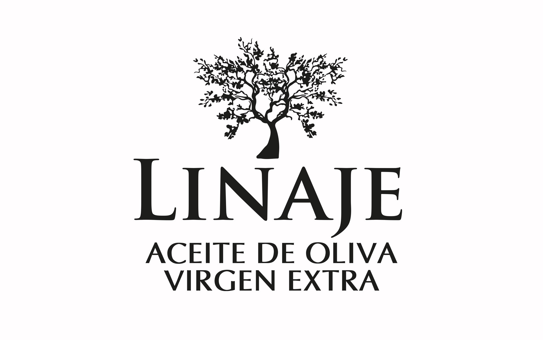 Portfolio of logo and brand design design works for extra virgin olive oil 