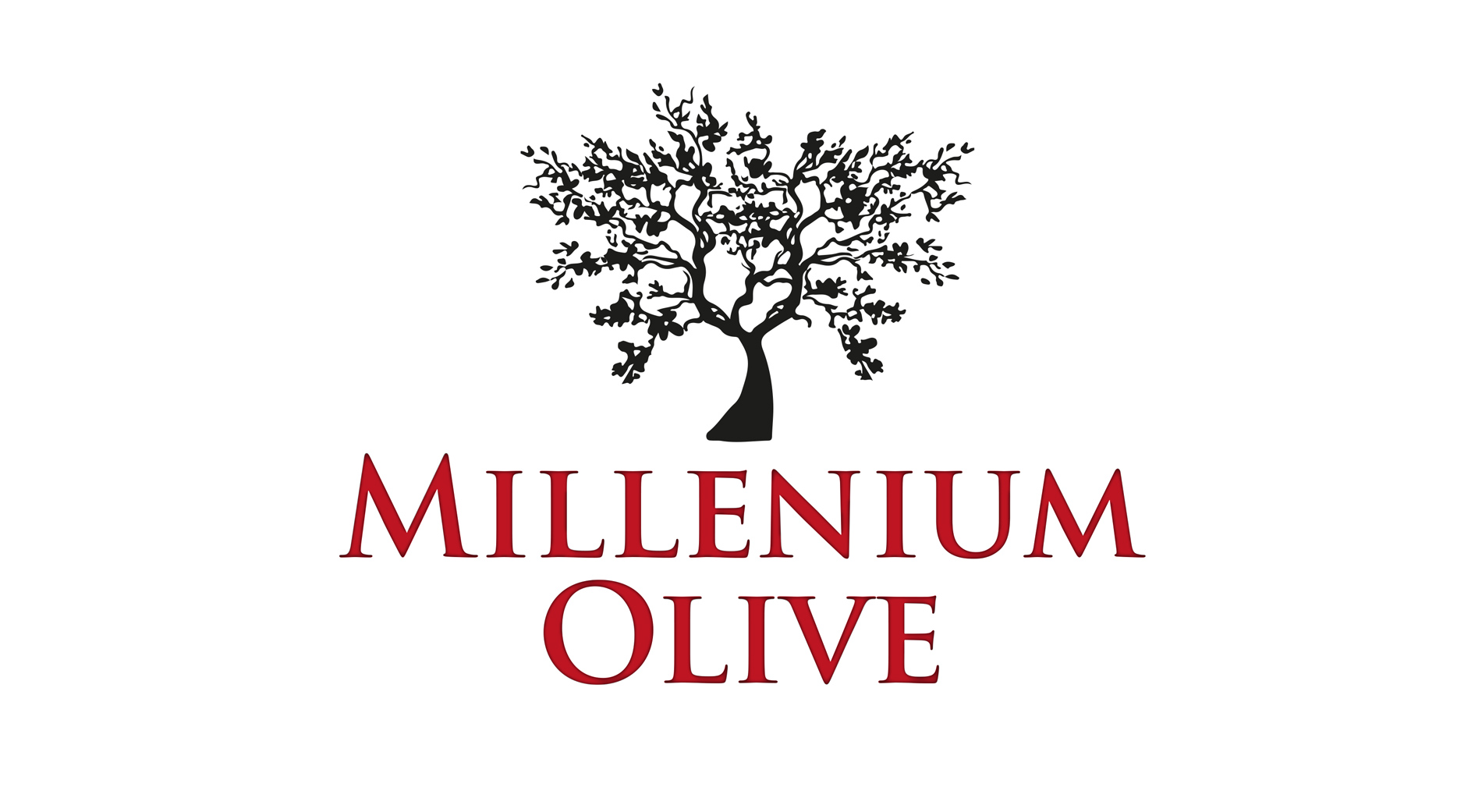 Diseño logo productor y embasador de aceite de oliva virgen extra