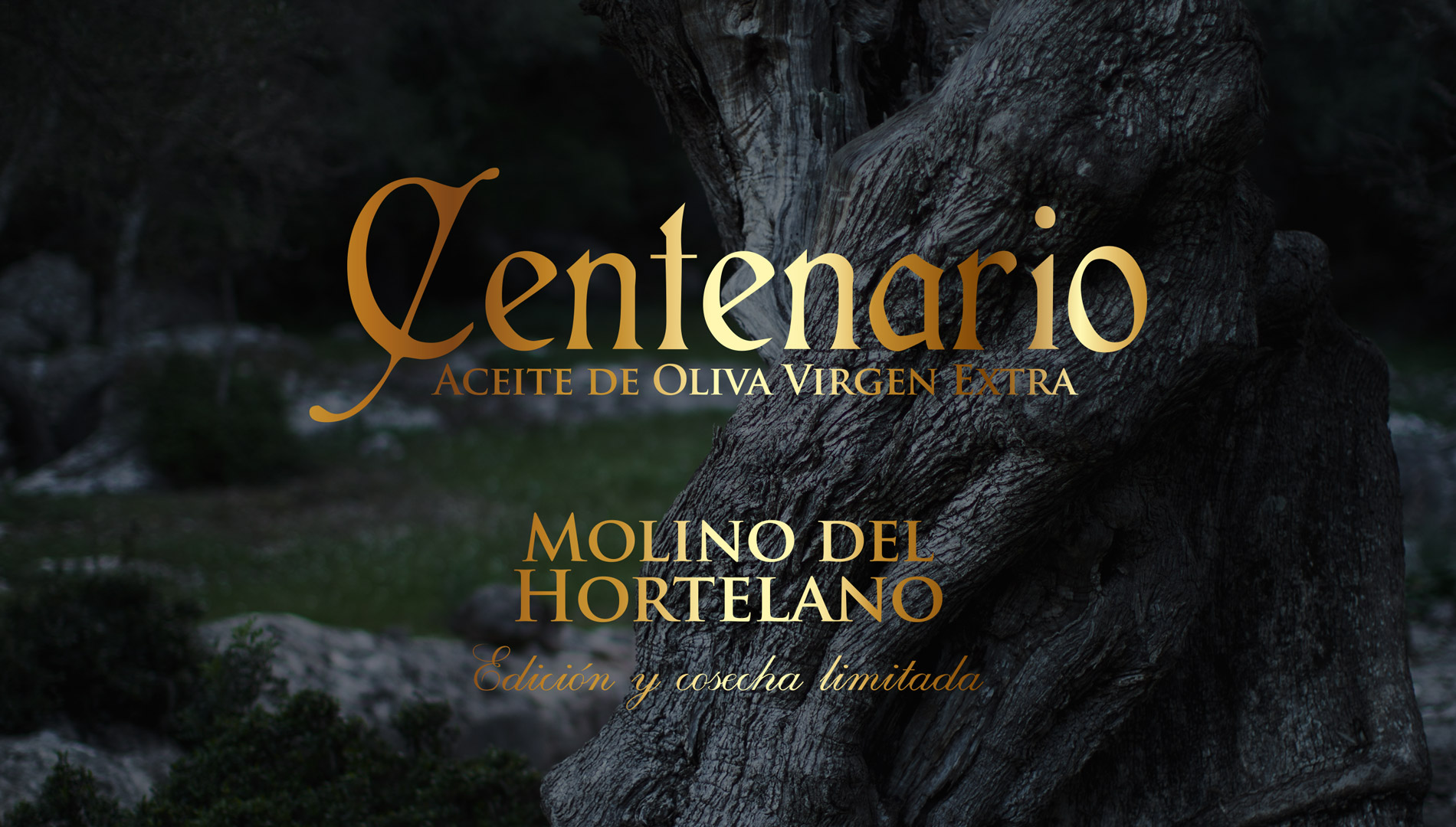 Portfolio of graphic and creative design works of extra virgin olive oil label design and packaging for MOLINO DEL HORTELANO gourmet version limited edition