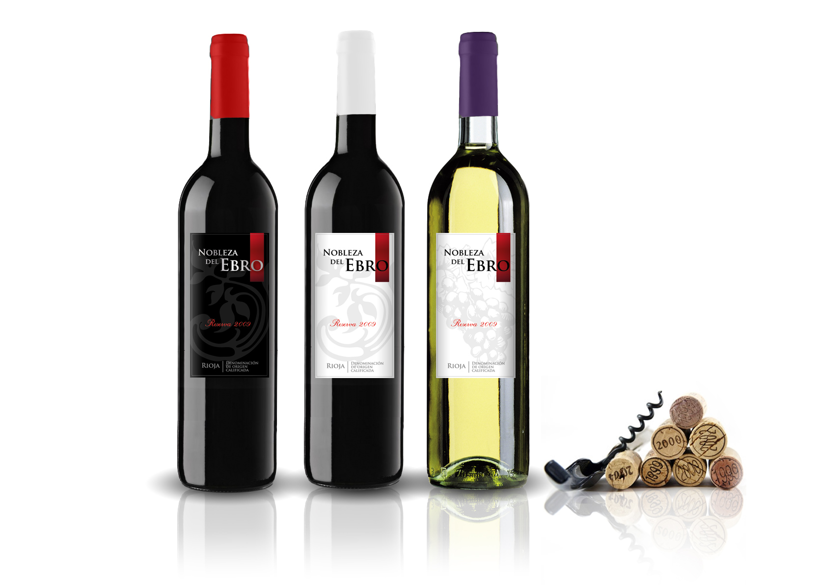 Diseño gráfico y creativo de etiquetas y packaging de vino para tinto denominación origen Somontano