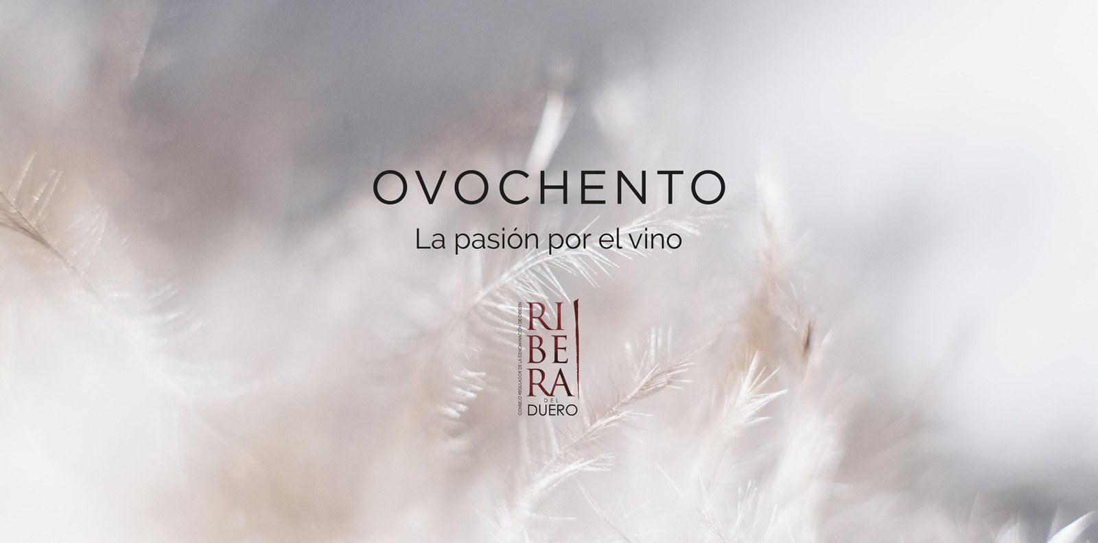 Graphic and creative design of wine labels and packaging for OVOCHENTO