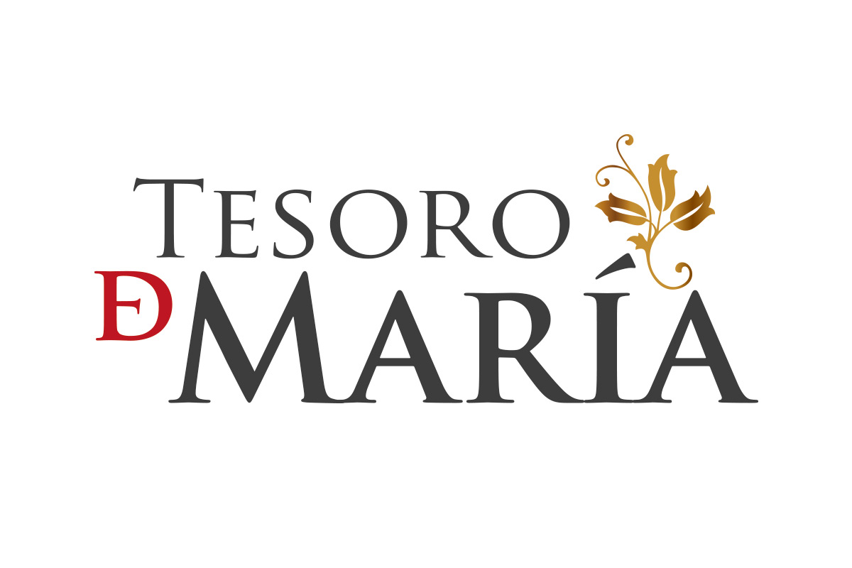 Portfolio of creative graphic design works of logo and corporate brand creation for wine export winery to China and Asian countries:  Tesoro de María