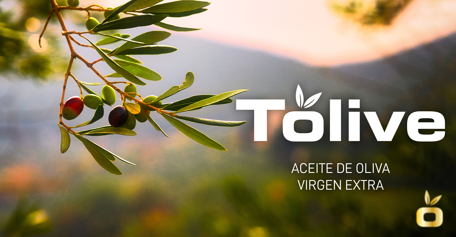 Graphic and creative design of extra virgin olive oil labels for TOLIVE