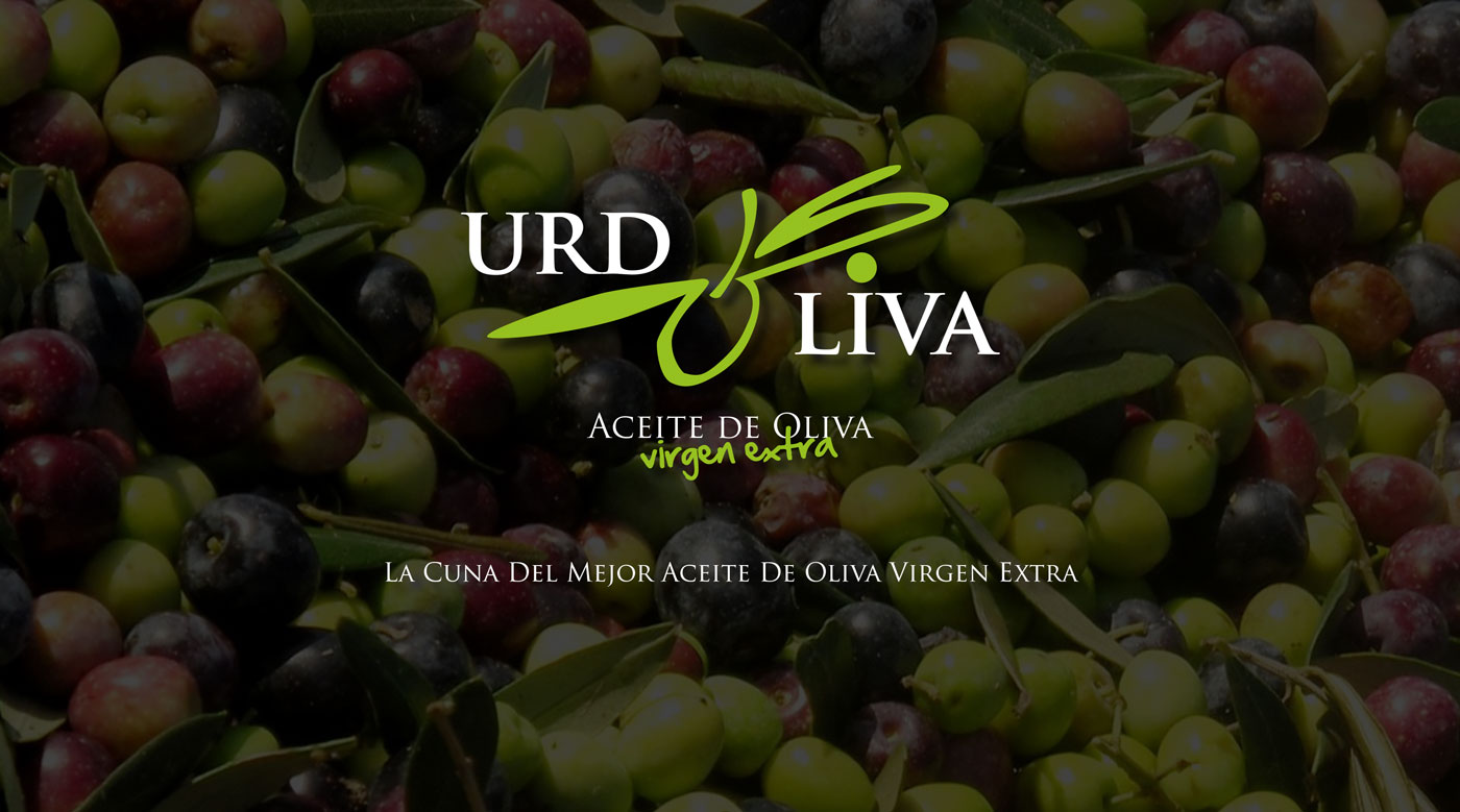 Diseño gráfico y creativo de etiquetas de aceite de oliva virgen extra para la marca URDOLIVA