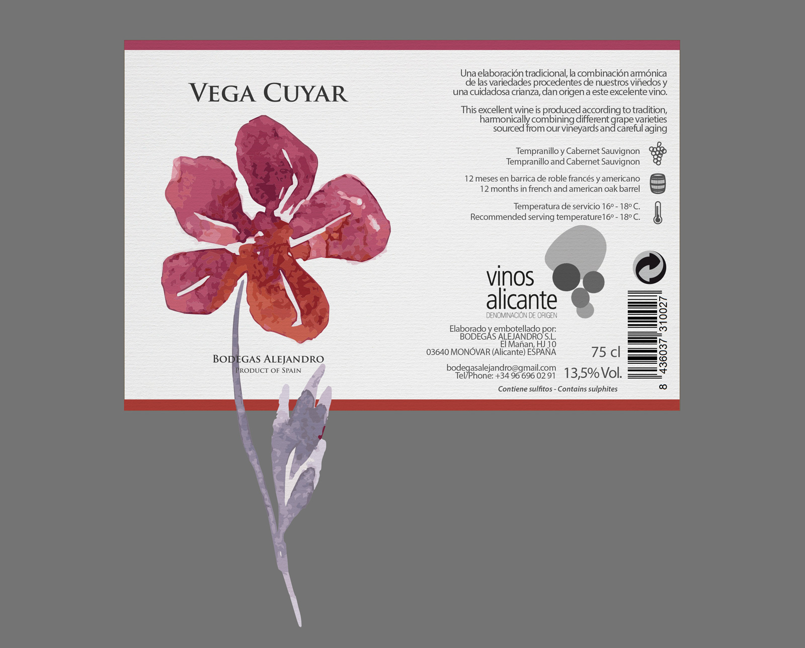Diseño gráfico y creativo de etiquetas y packaging de vino para VEGA CUYAR
