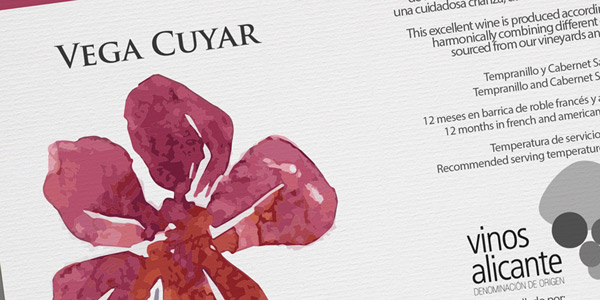 Portfolio of creative graphic design works for the creation of wine labels and packaging for wineries and red wine exporting companies: VEGA CUYAR