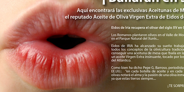 Diseño gráfico y creativo de flyers, folletos, dípticos y trípticos para campaña de publicidad para productora de aceite de oliva virgen extra