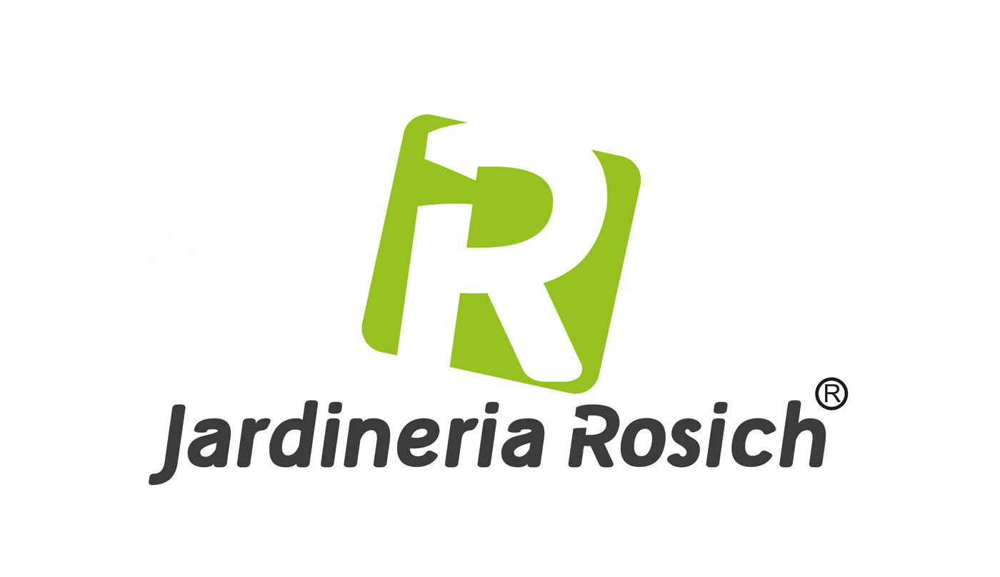 Visual identity design for Barcelona