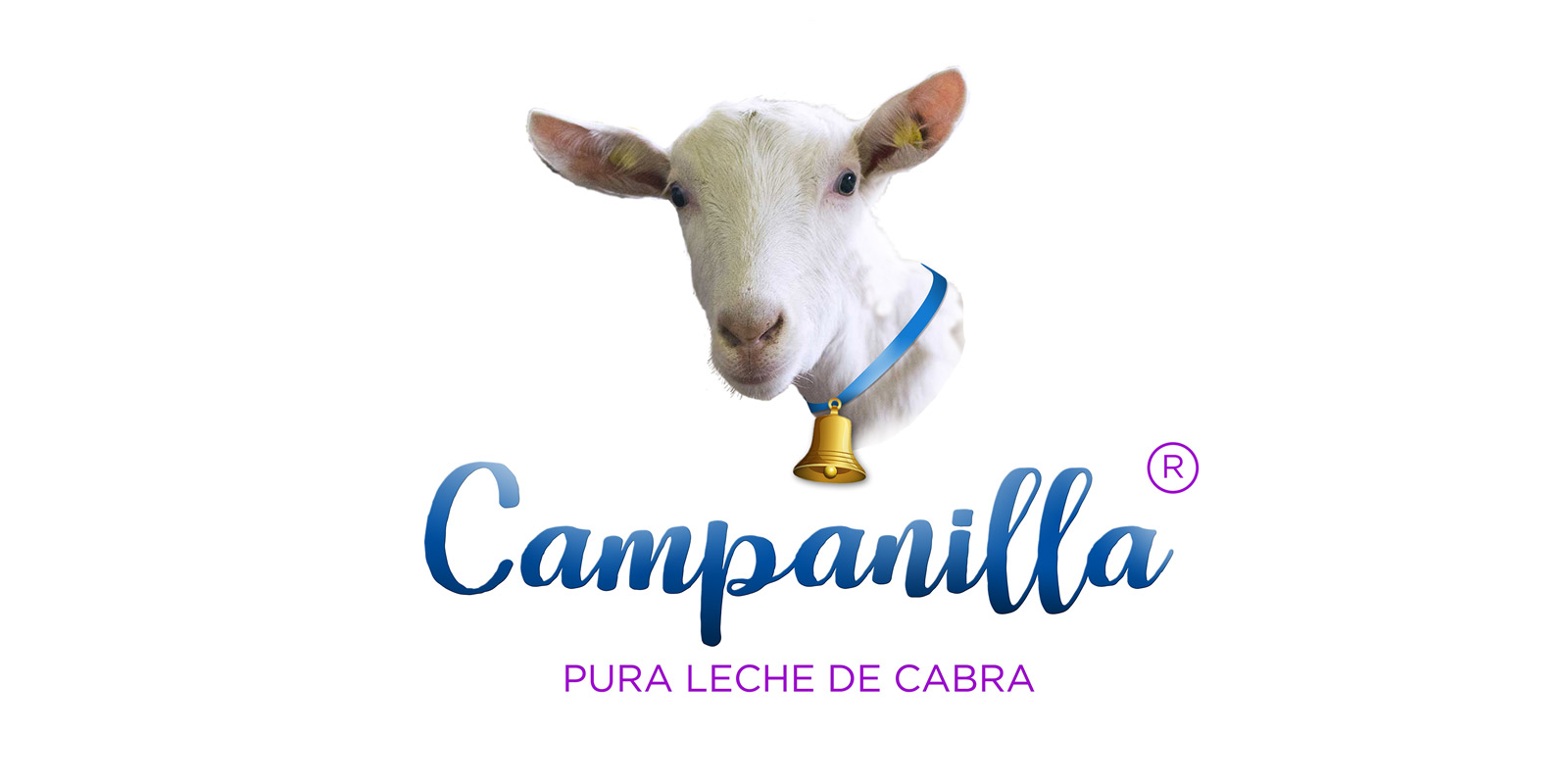 Portfolio of graphic and creative design of label and packaging design for milk CAMPANILLA